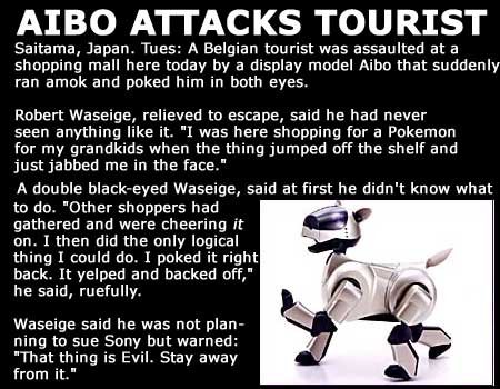 Aibo attacks Belgian tourist