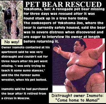 Pet Bear Rescued, Owner Confesses Abuse